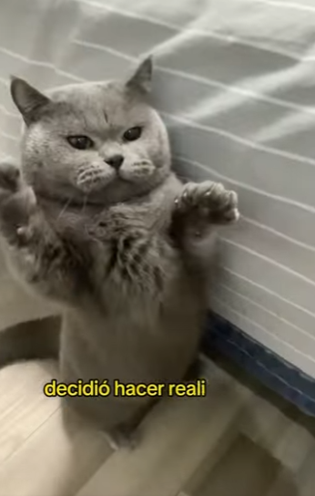 L2701005 Un pequeno rescate, un gran milagro (Parte 2)