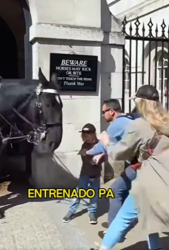 L2701007 De miedo a seguridad (Parte 2)