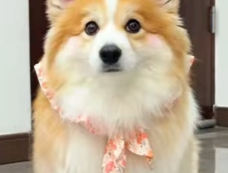 L2701003 La bondad puede salvar vidas (Parte 2)