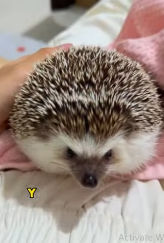 L2701013 Corazones amables salvan vidas (Parte 2)