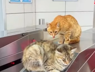 L2701009 Hoy la bondad hizo la diferencia (Parte 2)