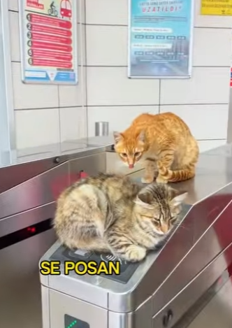 L2701009 Hoy la bondad hizo la diferencia (Parte 2)