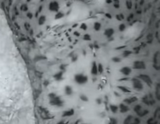 L2701004 El amor llego justo a tiempo (Parte 2)