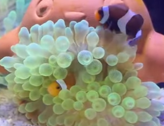 L2701012 Cuando llega la ayuda, llega la esperanza (Parte 2)