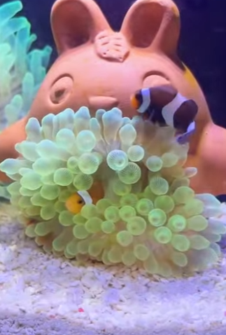 L2701012 Cuando llega la ayuda, llega la esperanza (Parte 2)