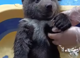 R2701006 Porque ayudar siempre importa (Parte 2)