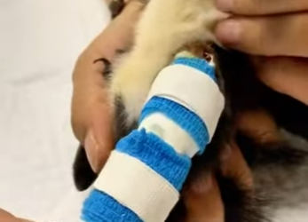 R2701001 Un nuevo comienzo lleno de amor (Parte 2)