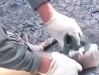 R2701011 Cada rescate es una victoria (Parte 2)