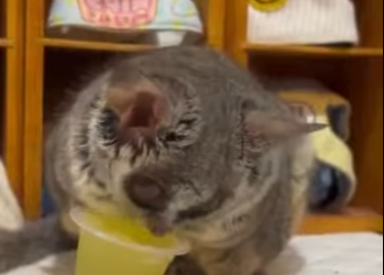 R2701008 El amor llega cuando mas se necesita (Parte 2)