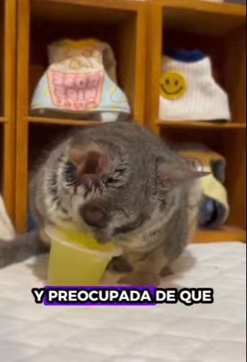 R2701008 El amor llega cuando mas se necesita (Parte 2)