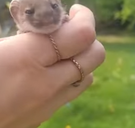 R2701007 Del miedo a la libertad (Parte 2)