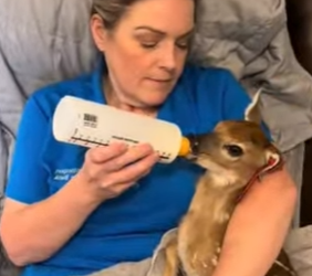 R2701004 Otro corazon salvado hoy (Parte 2)