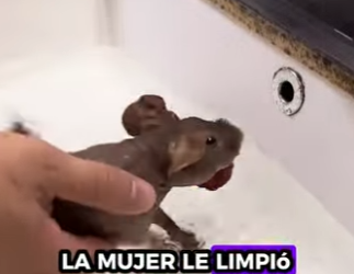 R2701012 Manos amables, corazones valientes (Parte 2)