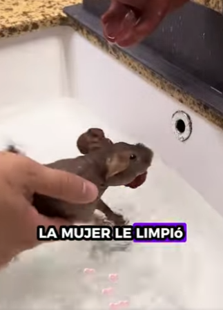 R2701012 Manos amables, corazones valientes (Parte 2)