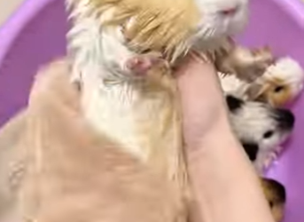 R2701010 Juntos salvamos vidas (Parte 2)