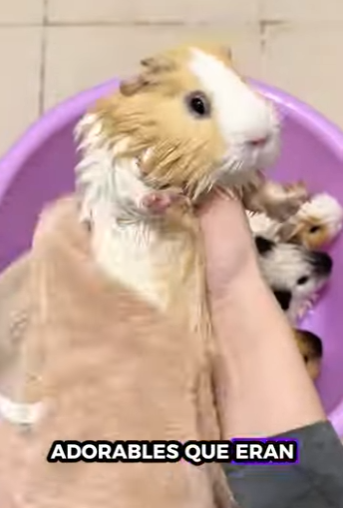 R2701010 Juntos salvamos vidas (Parte 2)