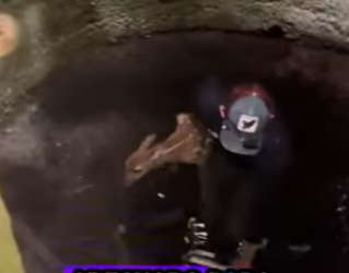 R2701002 Cuando los humanos eligen compasion (Parte 2)