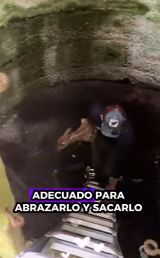 R2701002 Cuando los humanos eligen compasion (Parte 2)