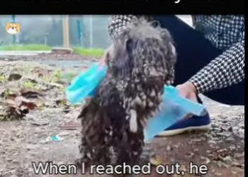 Kindness saved this life (Part 2)