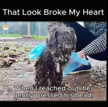 Kindness saved this life (Part 2)