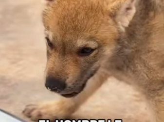 A2701005 El cuidado puede cambiar destinos (Parte 2)