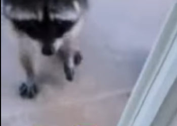 A2701007 La sanacion empieza con bondad (Parte 2)