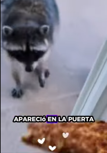 A2701007 La sanacion empieza con bondad (Parte 2)