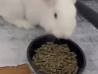 A2701001 De las sombras a la seguridad (Parte 2)