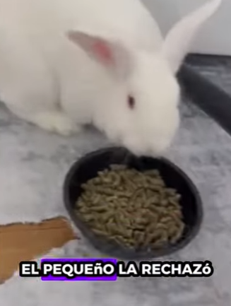 A2701001 De las sombras a la seguridad (Parte 2)