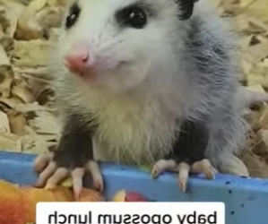 A2701004 Porque ninguna vida debe ser olvidada (Parte 2)