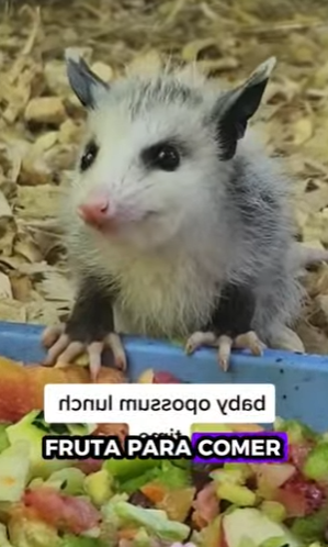 A2701004 Porque ninguna vida debe ser olvidada (Parte 2)