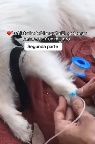 M2701009 Del sufrimiento al consuelo (Parte 2)