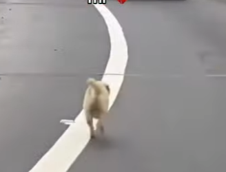 M2701002 Una segunda oportunidad empieza aqui (Parte 2)