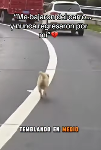 M2701002 Una segunda oportunidad empieza aqui (Parte 2)