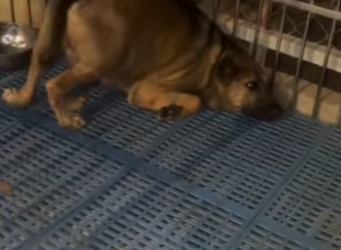 M2701007 La compasion convierte miedo en confianza (Parte 2)