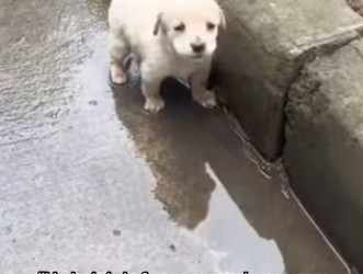 M2701011 Donde hay bondad, hay sanacion (Parte 2)