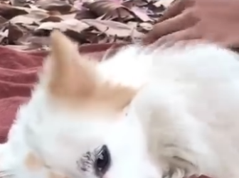 M2701008 El amor llega cuando mas se necesita (Parte 2)