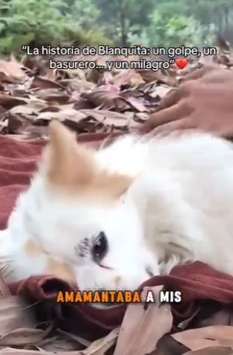 M2701008 El amor llega cuando mas se necesita (Parte 2)