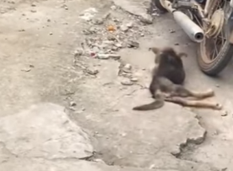 M2701004 Esto es lo que parece la esperanza (Parte 2)