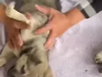 M2701013 Rescatar trae nuevos comienzos (Parte 2)