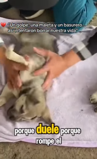 M2701013 Rescatar trae nuevos comienzos (Parte 2)