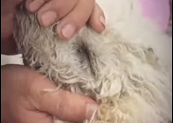 M2701006 Un nuevo comienzo lleno de amor (Parte 2)