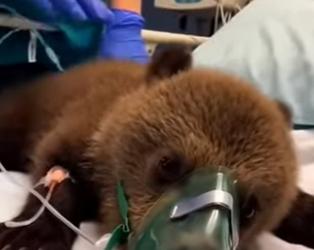 S2701006 Retour là où ils appartiennent (Part 2)