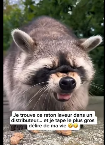 S2701007 Quand les humains protègent la faune (Part 2)