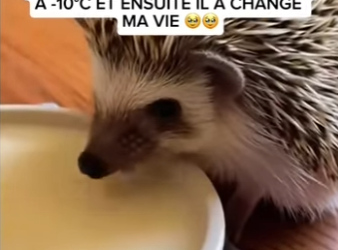 S2701005 Ramener l’espoir dans la nature (Part 2)