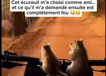 S2701001 L’amour protège la vie sauvage (Part 2)