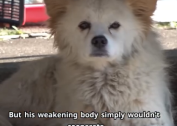 C2601001 Because every heartbeat matters (Part 2)