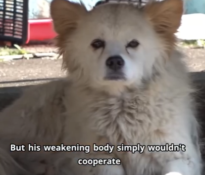 C2601001 Because every heartbeat matters (Part 2)