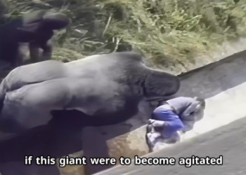 C2601004 From pain to healing (Part 2)