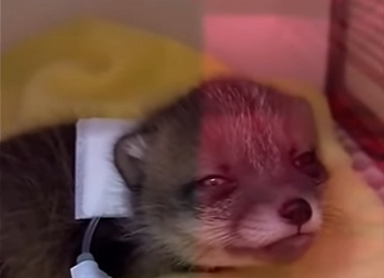 P2901012 Help turned everything around (Part 2)